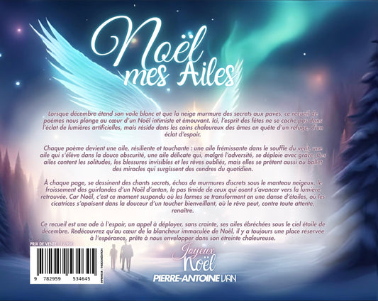 Noël mes Ailes