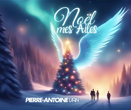 Un Noël sous l’envol des ailes !