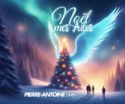 Noël mes Ailes