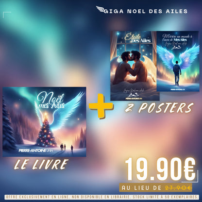 Noël mes Ailes