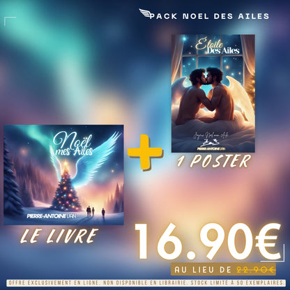 Noël mes Ailes